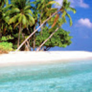 Meet your Posher, Rabiah